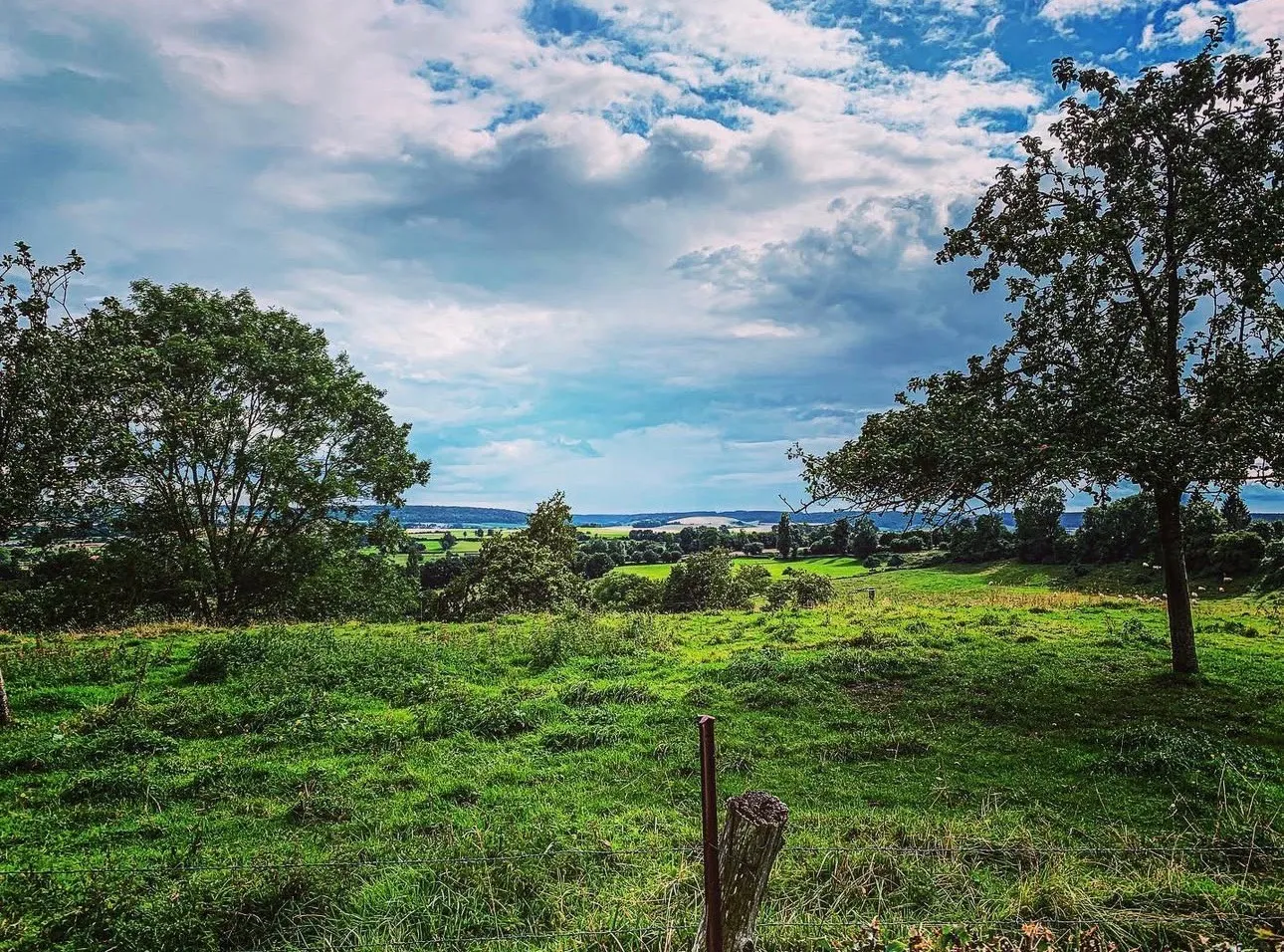 Détail de paysage ou de bâtisse à la Ferté-Saint-Samson