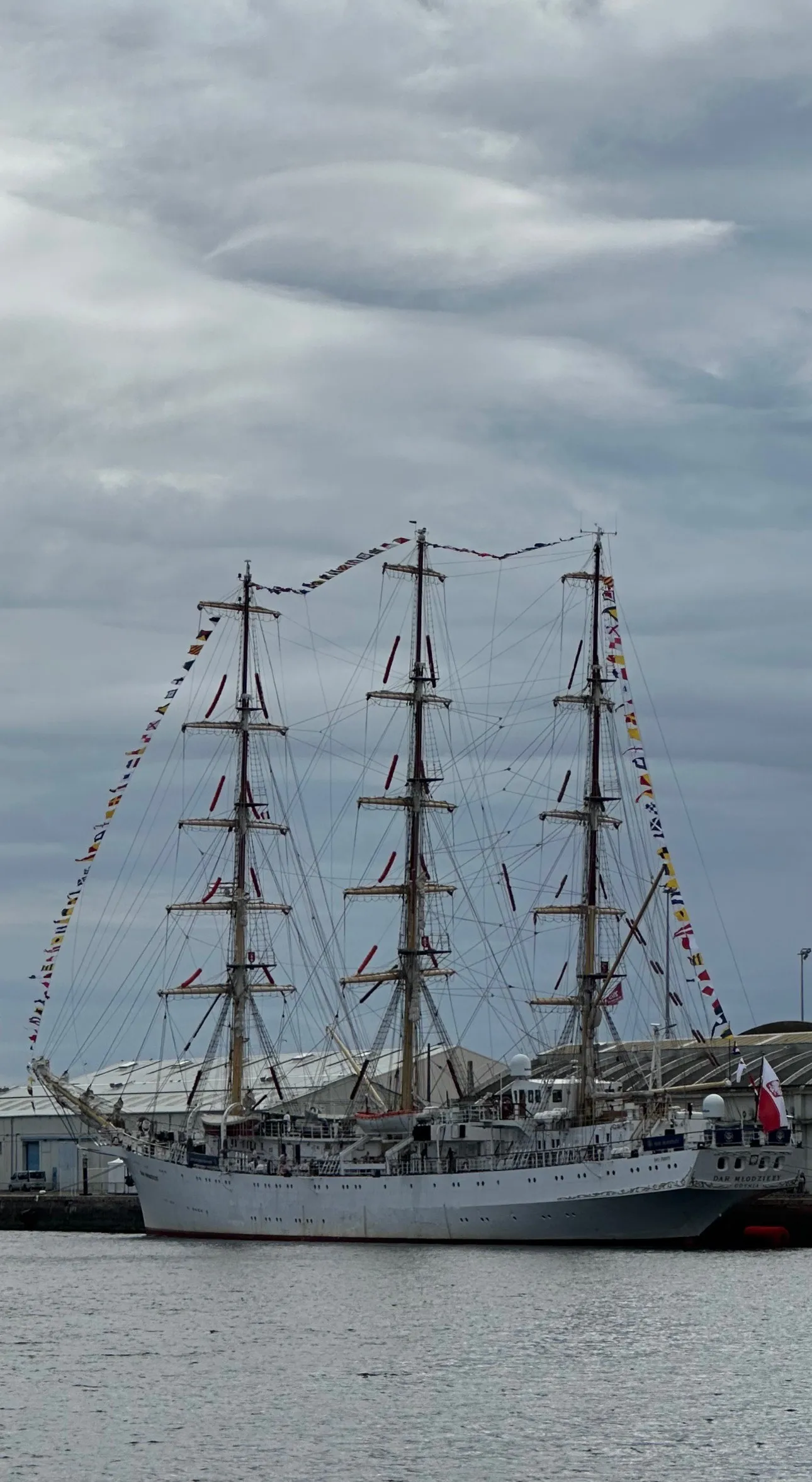 Le Dar Mlodziezy, voilier polonais, au Havre